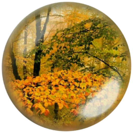 Telegram stiker «autumnpoet» 🍁