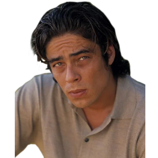 Telegram Sticker «Benicio» 🤨