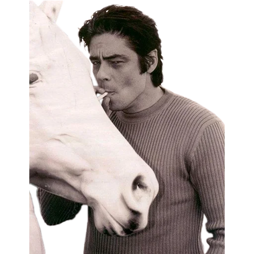 Telegram Sticker «Benicio» 🐴