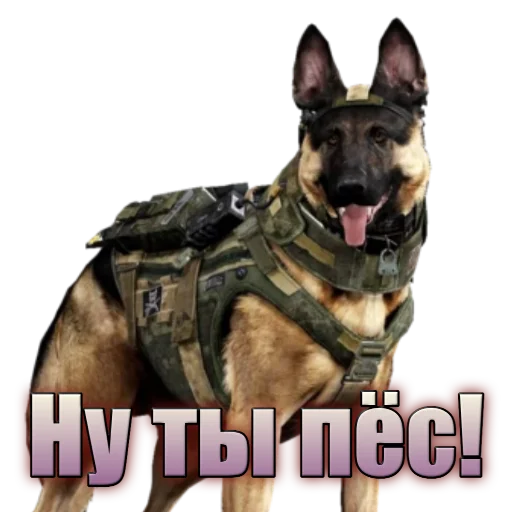 Call of Duty: MOBILE sticker 🐕