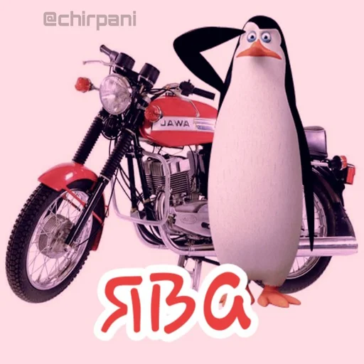 Стикер BioMemes 🐧