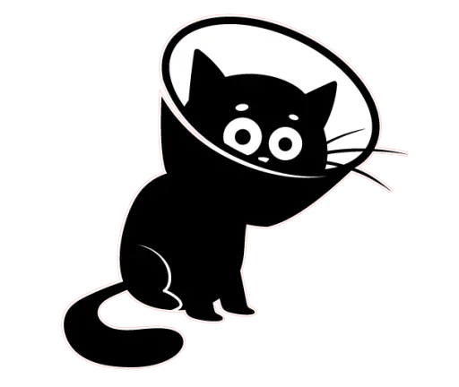 Стикер Telegram «Чёрный котик» 👀