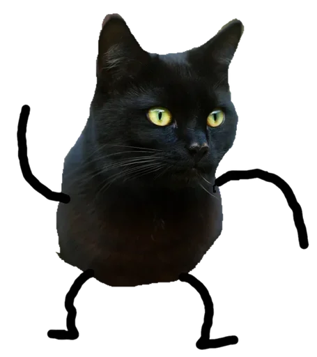 Black Cat emoji 😙