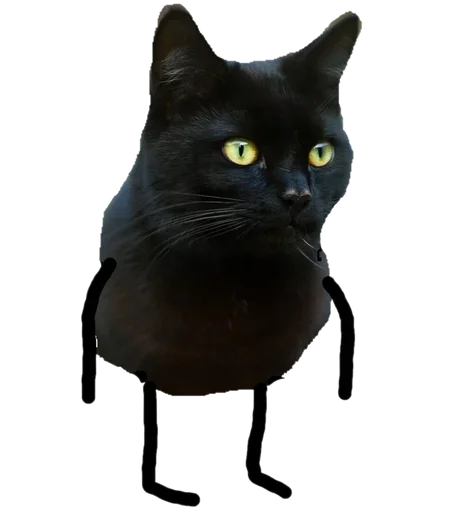 Telegram Sticker «Black Cat» 😚