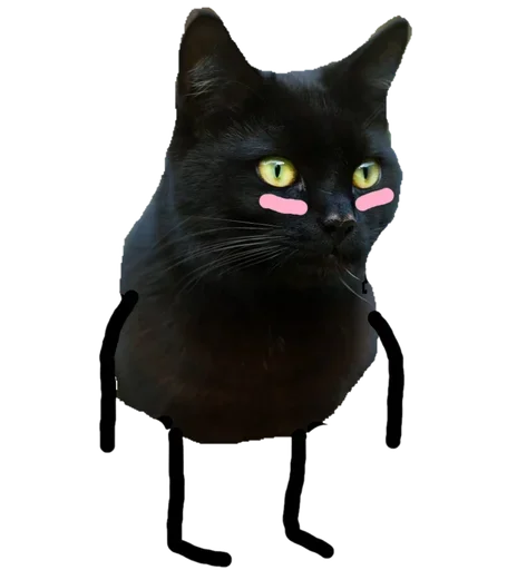 Стикер Telegram «Black Cat» 😜