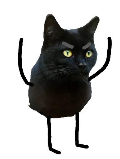 Telegram Sticker «Black Cat» 😕
