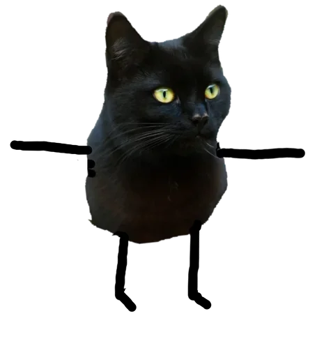 Telegram stiker «Black Cat» 🤪