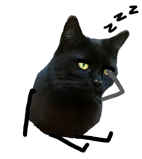 Telegram Sticker «Black Cat» 🤩