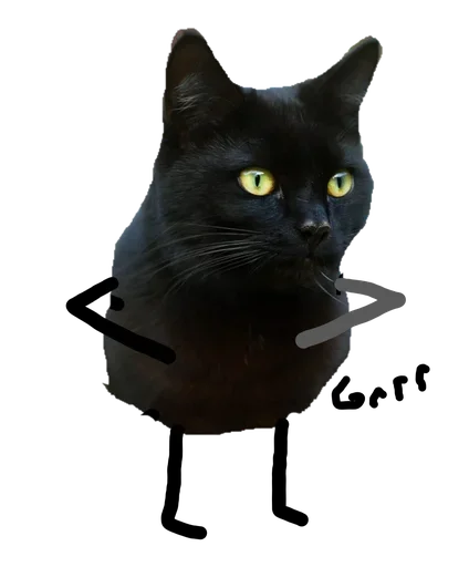 Black Cat emoji 😫