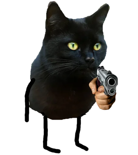 Telegram stiker «Black Cat» 😙