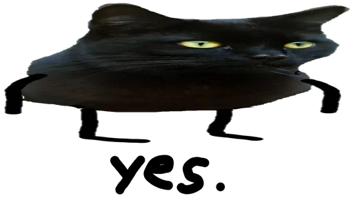 Telegram stiker «Black Cat» 😚
