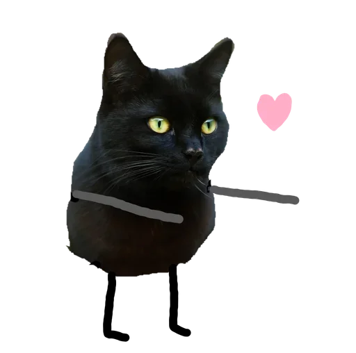 Telegram Sticker «Black Cat» 😗
