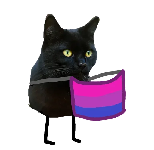 Telegram stiker «Black Cat» 😜