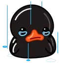 Black Duck  emoji 😢