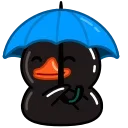 Black Duck  emoji ☔️