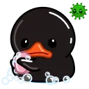 Black Duck  sticker 🧼