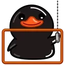 Black Duck  sticker 😱