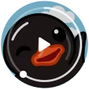 Black Duck  sticker 🙋