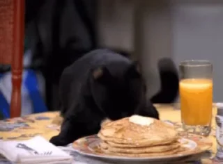 Стікер Pancakes 🥞