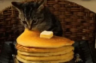 Стікер Pancakes 🥞
