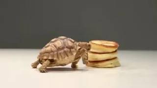 Эмодзи Pancakes 🥞