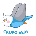 Blue Bird emoji 🚀