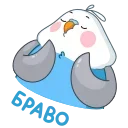 Blue Bird emoji 👏