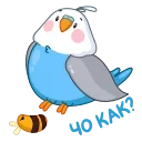 Blue Bird emoji 🤔