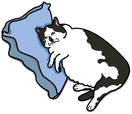 Telegram Sticker «Bo-Bo Cat» 😭