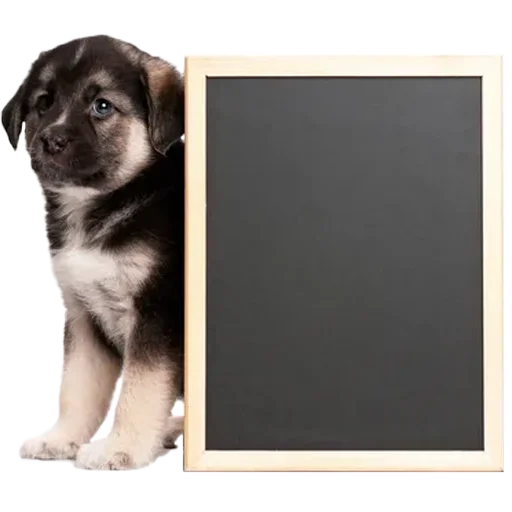 Стикер Frame your Text 🖼