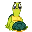 Bobby the Turtle stiker ❓