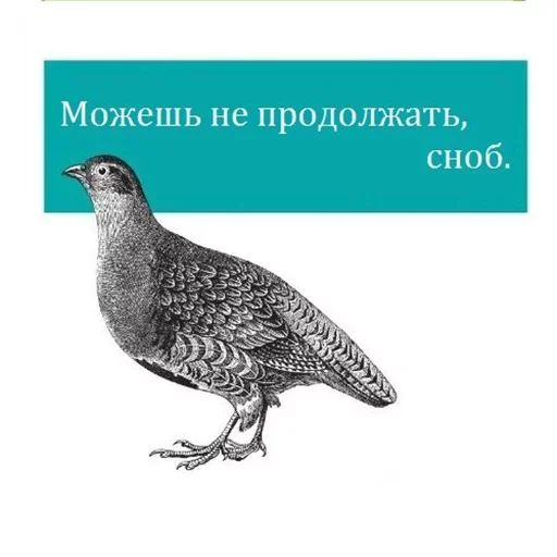 Telegram Sticker «Bookshelf Memes» 😉