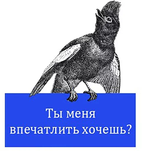 Telegram Sticker «Bookshelf Memes» 😚