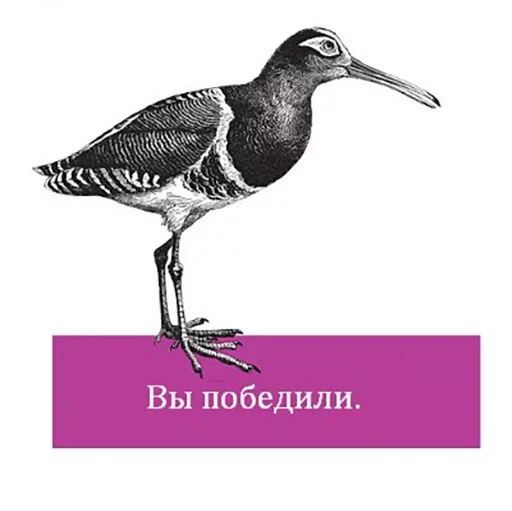 Telegram stiker «Bookshelf Memes» 😚
