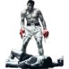 Емодзі телеграм Boxing