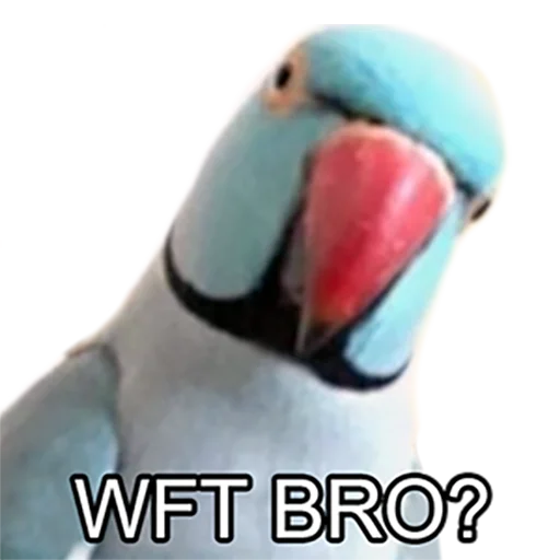 Bro Parrot sticker 😠