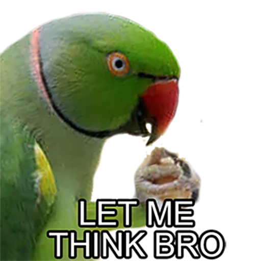 Bro Parrot sticker 💭