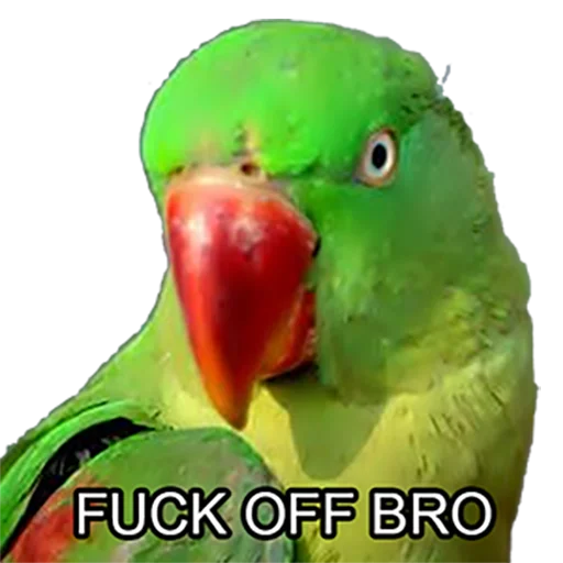 Bro Parrot sticker 😤