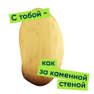 Pickle stiker 😉