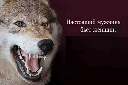 Стикер Telegram «Be a wolf » 😴