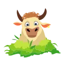 Bull Drugi emoji 🙄