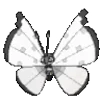 Емодзі телеграм Butterfly Emoji Pack