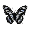 Telegram emoji Butterfly Emoji Pack