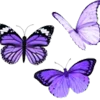 Telegram emoji Butterfly Emoji Pack