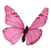 Емодзі телеграм Butterfly Emoji Pack