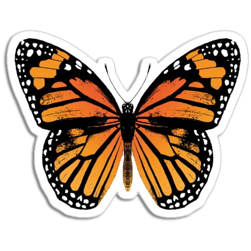 Butterfly ਤਿਤਲੀ stiker 🦋