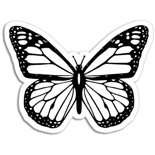 Telegram Sticker «Butterfly ਤਿਤਲੀ» 🦋