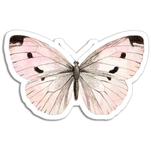 Butterfly ਤਿਤਲੀ emoji 🦋