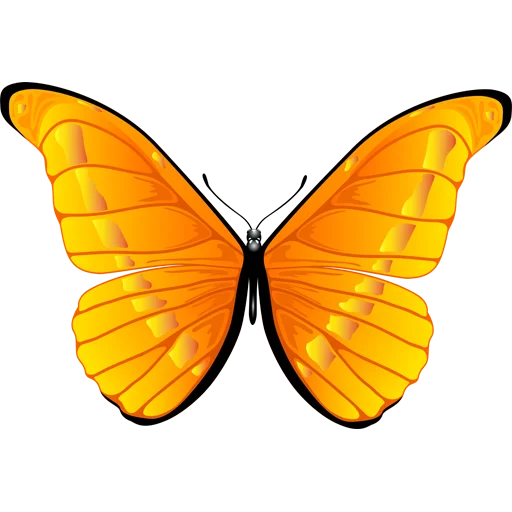 Стикер Telegram «Butterfly ਤਿਤਲੀ» 🦋
