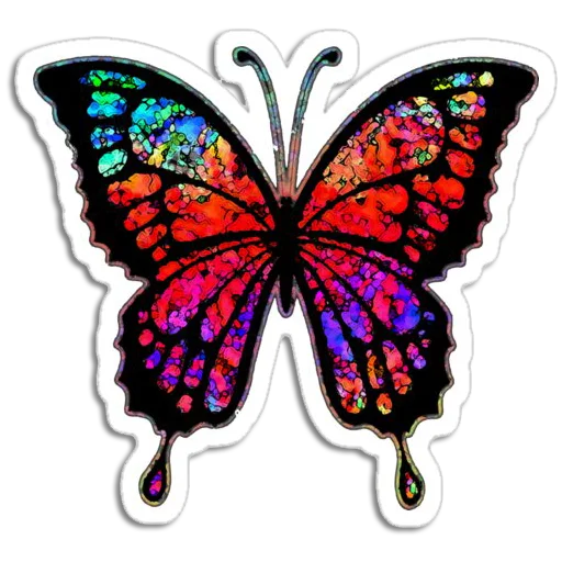 Стікер Butterfly ਤਿਤਲੀ 🦋